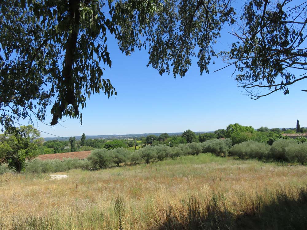 Propriétaires fonciers : pourquoi vendre votre terrain à BAMA en 2025 ?