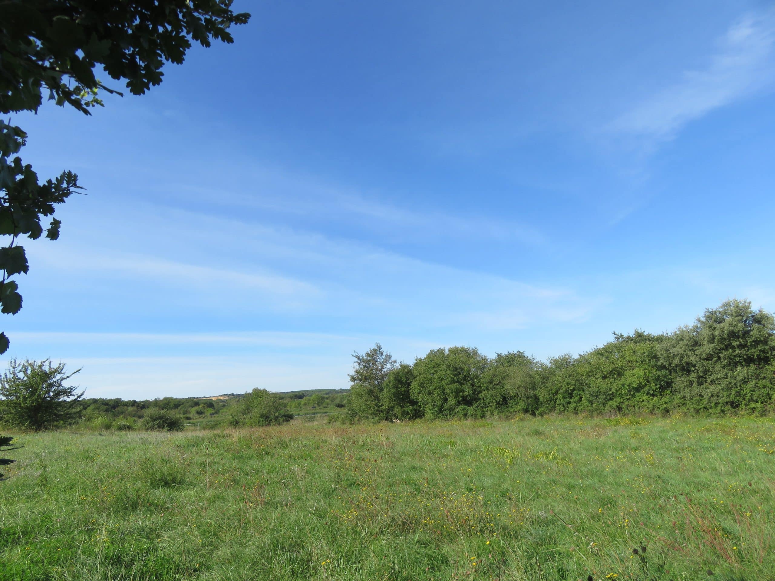 La Calmette Saraillas