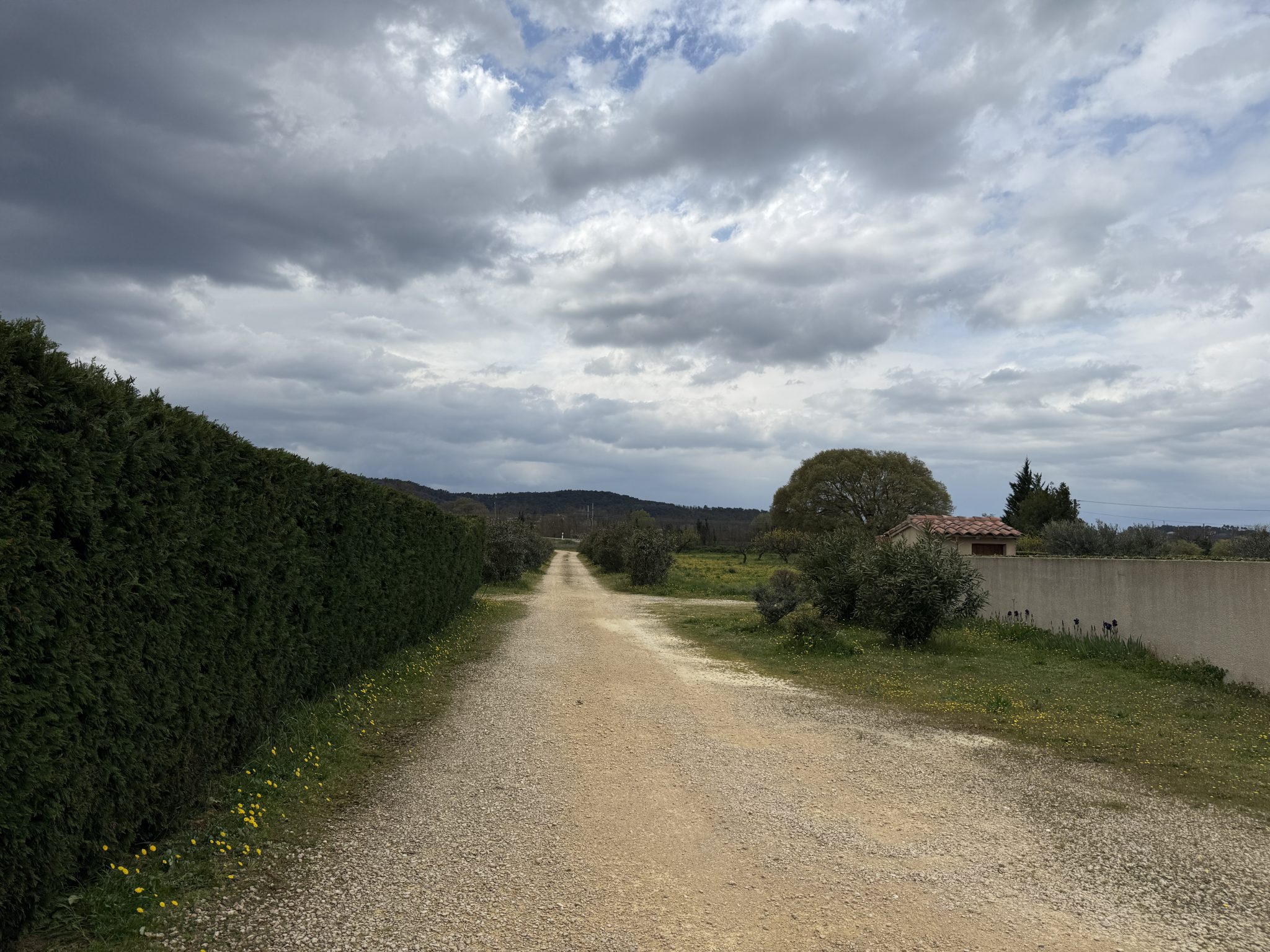 St Alexandre