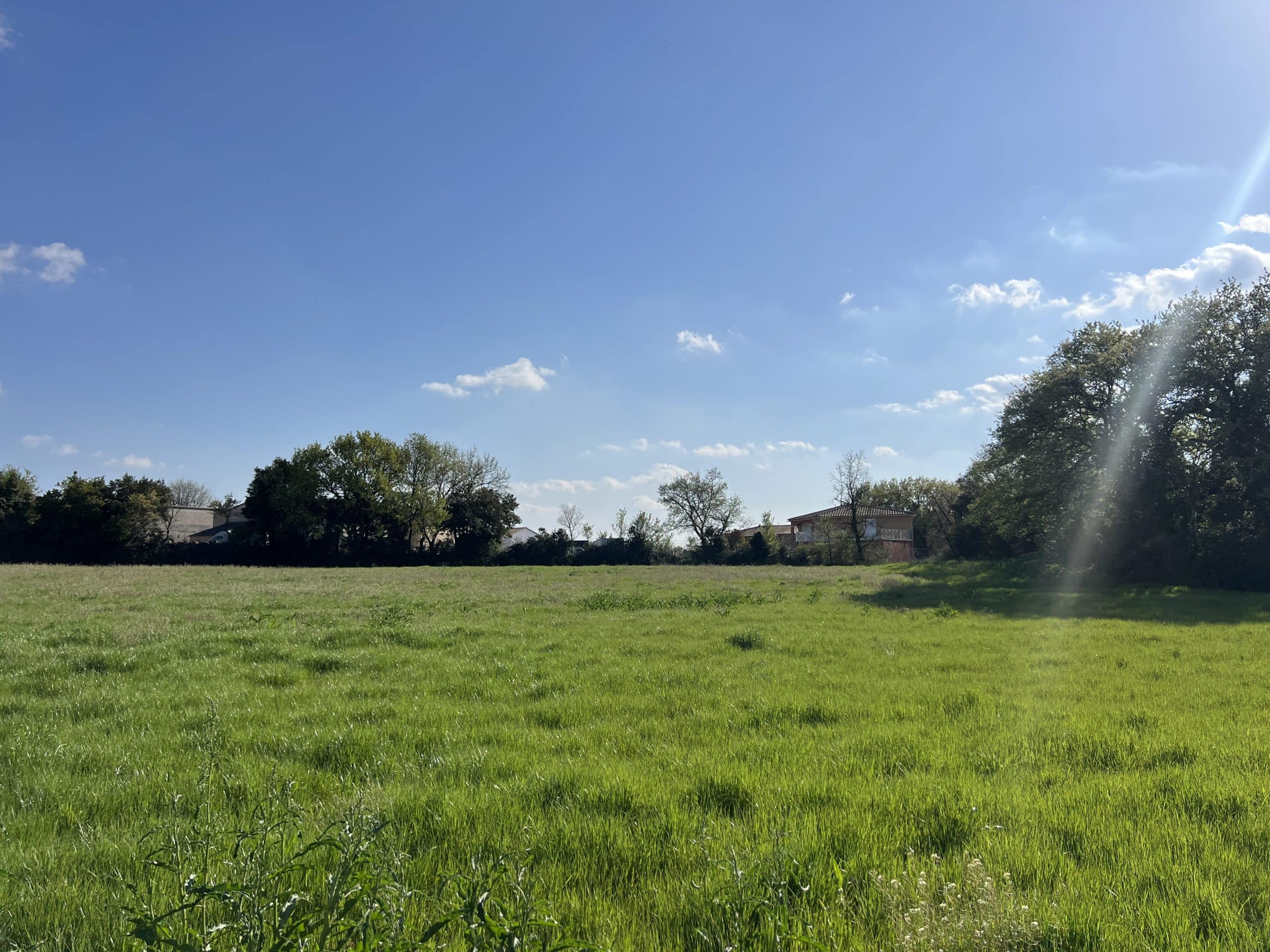 Acquérir un terrain constructible à Blauzac (30) : guide pratique et opportunités